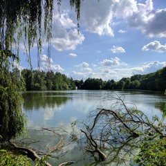 Lake