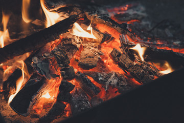 Film style photo creative: warm fireplace with lots of trees ready for barbecue on the nature.