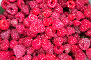 fresh raspberries

