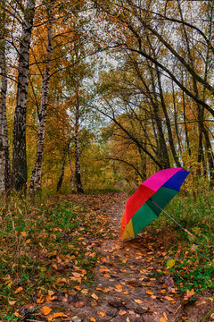 Multicolored umbrella in a park on a background of autumn leaves in the rain, concept of rainy autumn weather and hydrometeor and meteorology
