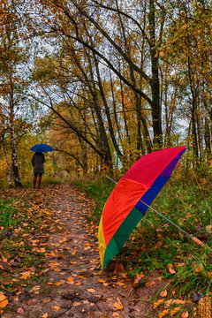Multi-colored umbrella in the park and a girl under an umbrella on a background of autumn leaves in the rain, the concept of rainy autumn weather and hydrometeor and meteorology