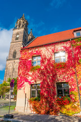 Magnificent colorful Cathedral of Magdeburg in Autumn, Germany
