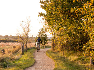 man on bike on country path scene trees sun light soft autumn riding