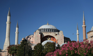 Fototapeta na wymiar Hagia Sophia museum in Istanbul City