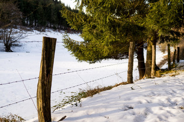 Schneelandschaft