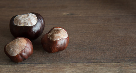 three wild chestnuts