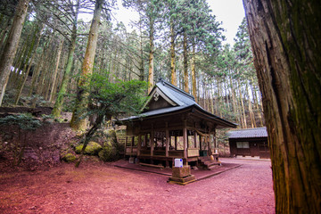 Naklejka premium 山奥の神社