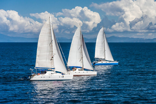 Three sailboats racing