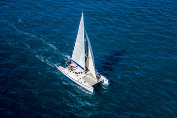 Catamaran navigating - Powered by Adobe