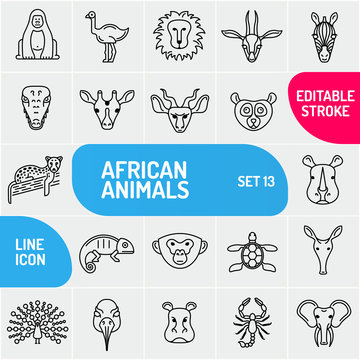 Set of linear icons of African animals. Animals Collection isolated on white background. Vector illustration.