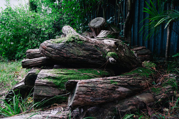 a bunch of wooden logs