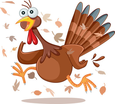 Funny Turkey Running Vector Cartoon