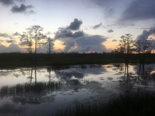 Reflection of vibrant sunset in a swamp