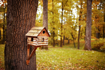  birdhouse in autumn park 