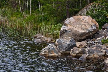 Rocky river Bank with mixed forest.