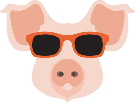 pig face head glasses vector illustration style flat 