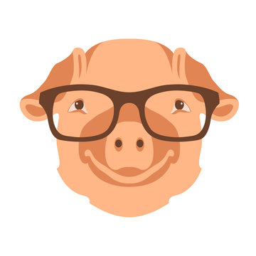 pig face head glasses vector illustration style flat 