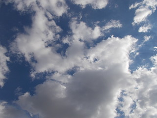 Clouds in shape of animals