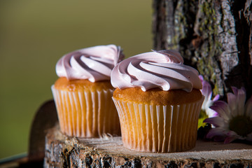 outdoor cupcakes