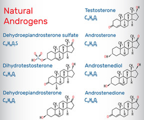 Natural androgens (steroid hormone) - structural chemical formula and molecule model