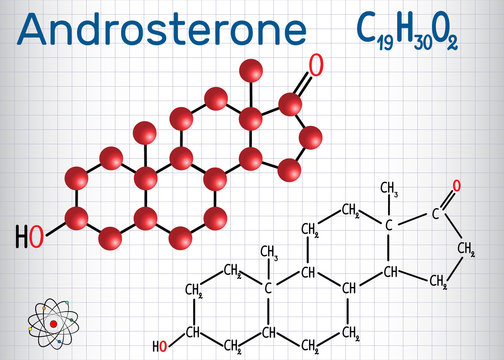Androsterone (endogenous steroid hormone) - structural chemical formula and molecule model. Sheet of paper in a cage