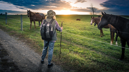 A senior woman hiking past horses in a pasture on a gravel path at sunset.