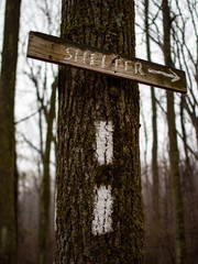 Appalachian Trail Blaze with Shelter Sign