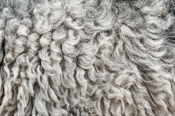 Dark sheep skin background texture abstract