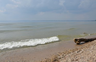 Treibholz am sonnigen Chiemseestrand mit Wellen und Wolken