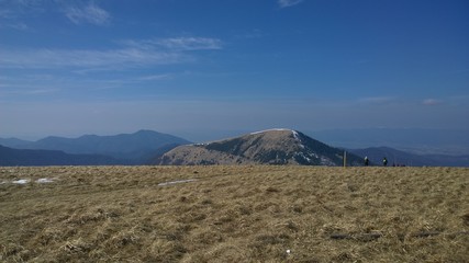 Nature covered by snow during winter. Slovakia