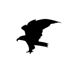 Silhouette of flying eagle with big claws.