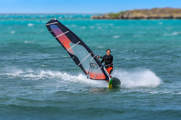 Windsurfer