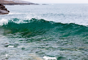 Fototapeta premium Storm wave on the coast of the Arctic. Barents sea, Russia.