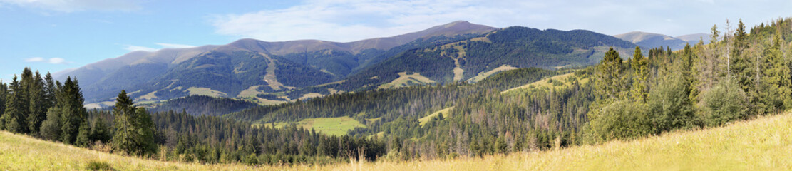 Beautiful panorama of the Carpathian Mountains in the summer in the rays of the morning sun.