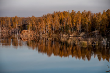 pond on the background of autumn forest