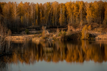 pond on the background of autumn forest