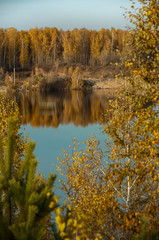 pond on the background of autumn forest