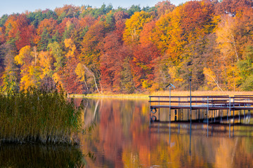Autumn over the lake, fall trees reflected in water.