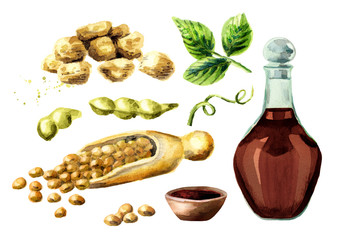 Soy products set with soybeans, meat, and sauce. Watercolor hand drawn illustration.