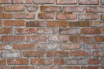 old red brick building
old brickwork
part of the old brick wall
