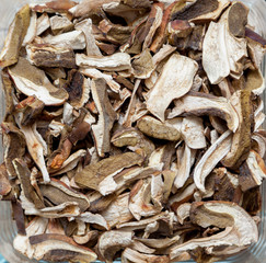 Dried white mushrooms closeup
