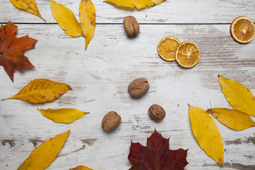 Fall, autumn background