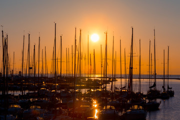 rows of boats mast