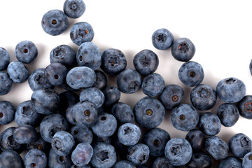 blueberries isolated close up