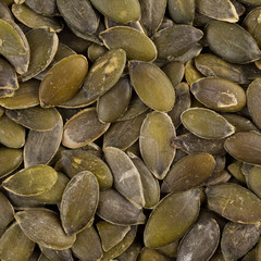 Pumpkin seeds close up