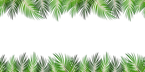 Obraz premium Frame from Palm Leaf with White Background. Vector Illustration.