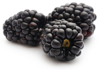 Fresh blackberries