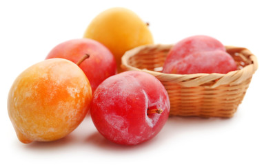 Fresh plums