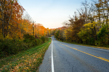 Country Road Through a Colourful Autumn Forest under Clear Sky at Sunset.
