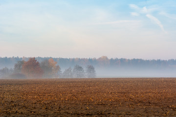 Rural autumn landscape in foggy morning.